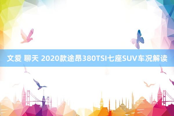 文爱 聊天 2020款途昂380TSI七座SUV车况解读