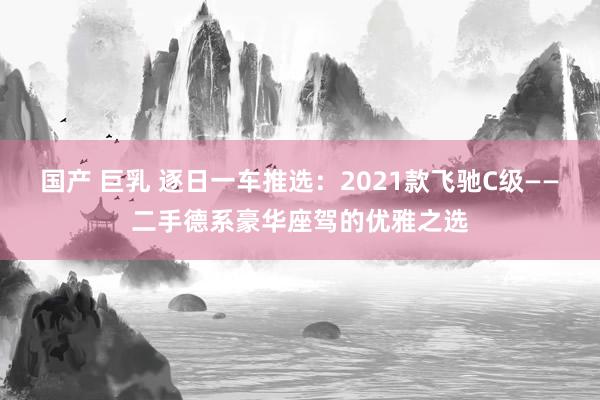 国产 巨乳 逐日一车推选：2021款飞驰C级——二手德系豪华座驾的优雅之选