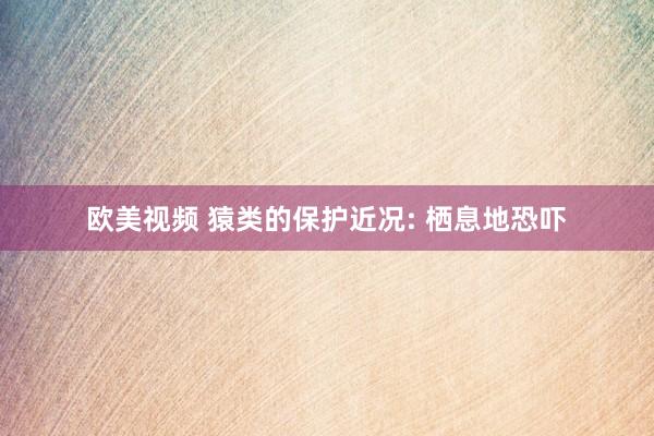 欧美视频 猿类的保护近况: 栖息地恐吓