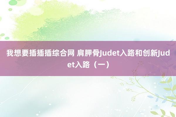 我想要插插插综合网 肩胛骨Judet入路和创新Judet入路（一）