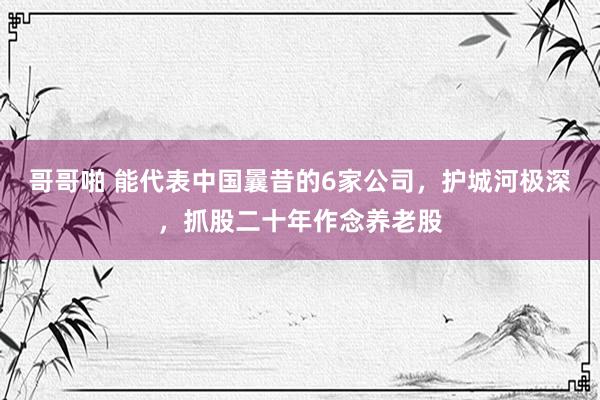 哥哥啪 能代表中国曩昔的6家公司，护城河极深，抓股二十年作念养老股