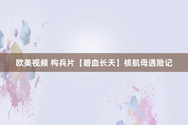欧美视频 构兵片【碧血长天】核航母遇险记