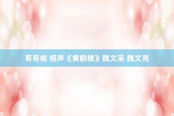 哥哥啪 相声《黄鹤楼》魏文采 魏文亮