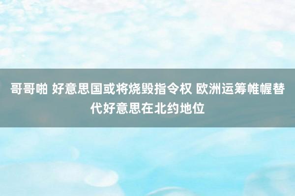哥哥啪 好意思国或将烧毁指令权 欧洲运筹帷幄替代好意思在北约地位